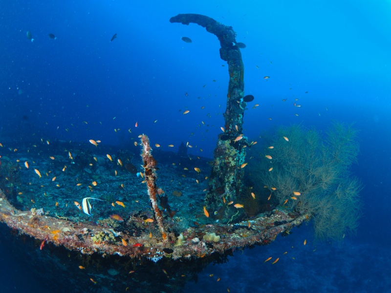 Wreck diving