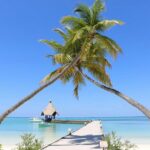 Canareef Resort Maldives er et luksuriøst feriested på øen