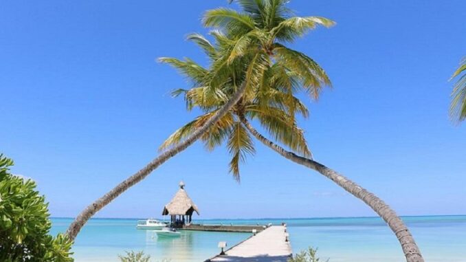 Canareef Resort Maldiverna