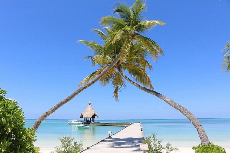 Canareef Resort Maldiverne
