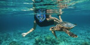 Snorkeling aux Maldives