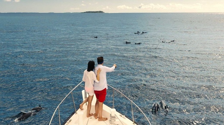 Crucero con delfines al atardecer