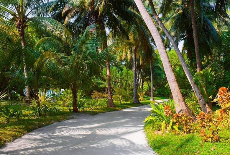 Parc du Sultan à Malé