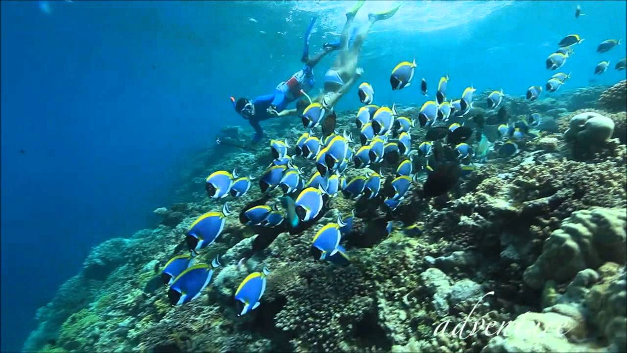 Angsana Ihuru