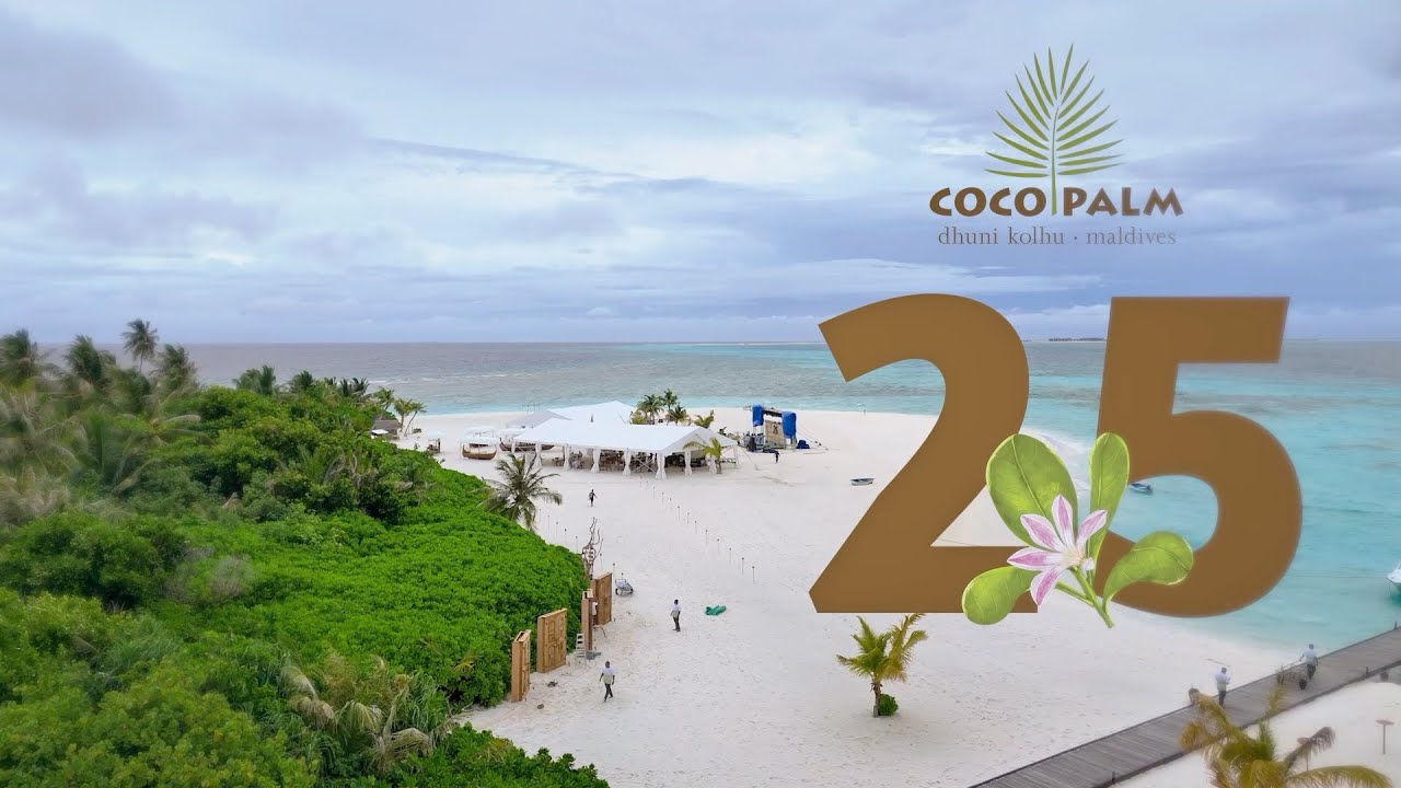 可可棕櫚杜尼科魯 25 週年