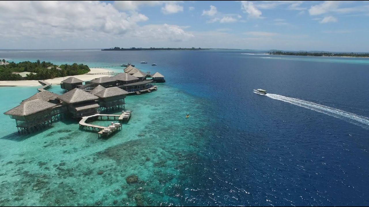 Six Sens Laamu | Les petites choses que nous faisons