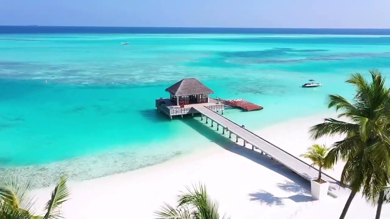 Enfriar. Jugar. Cobra vida en Niyama Private Islands Maldivas