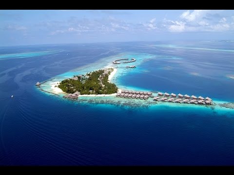 Coco Moments at Coco Bodu Hithi