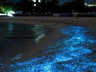 Glowing Beach