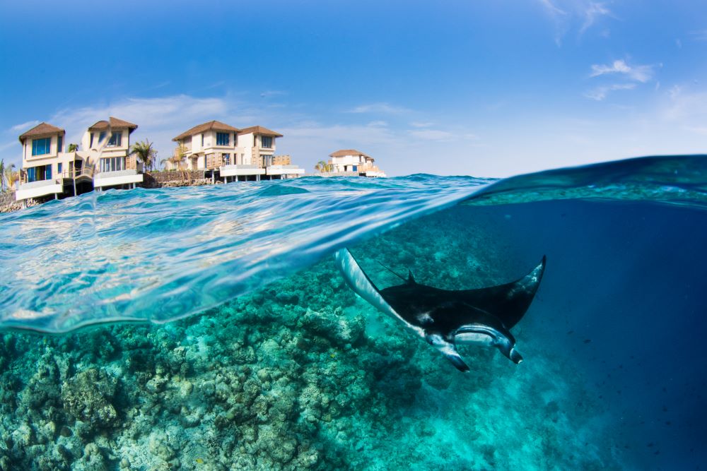 L'InterContinental Maldives invite ses clients à sa troisième retraite Manta