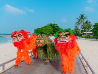 Lion dance and dragon walk in chinese new year