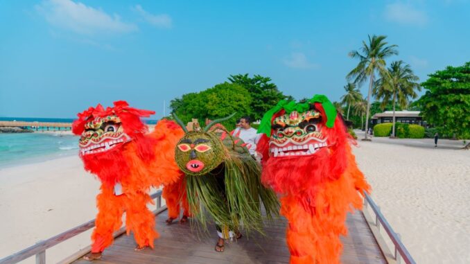 Lion dance and dragon walk in chinese new year