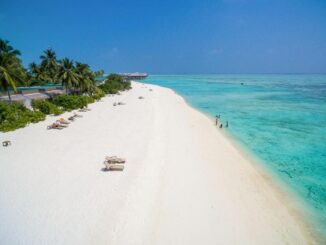 Cocoon Maldive