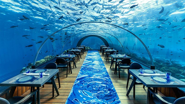 The Best Underwater Restaurants In The Maldives Maldives Paradise The Best Underwater Restaurants In The Maldives Maldives Paradise