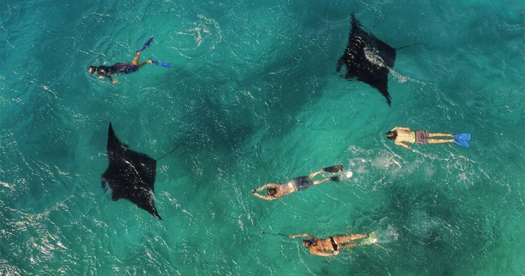 Dusit Thani Maldives invita a experimentar la mejor aventura en Maldivas con el paquete Majestic Manta Escape