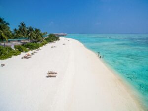 A beach at Cocoon Maldives 