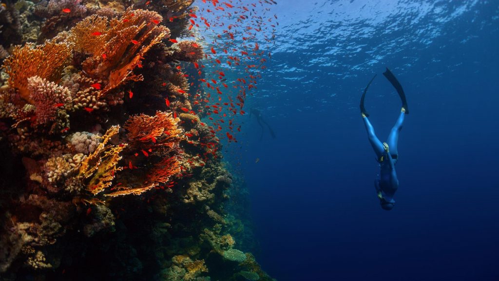 Fridykkerkurser hos One&Only Reethi Rah