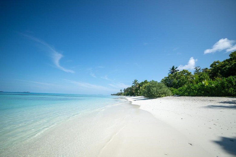 Whaleshark Beach