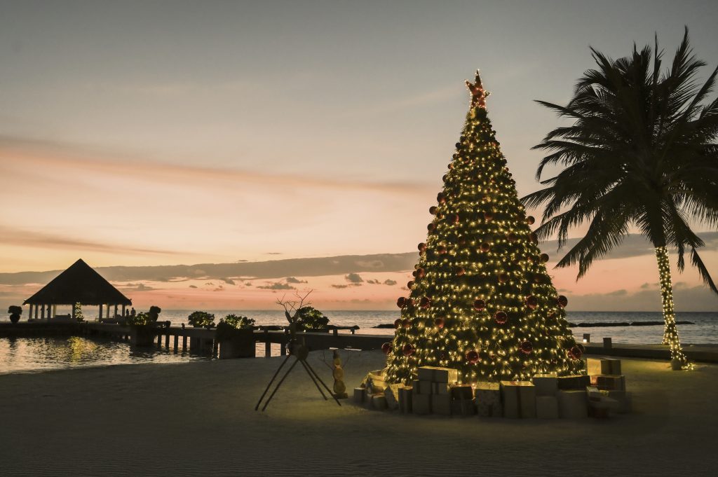 Coco Bodu Hithi prepares for holiday season and New Year festivities