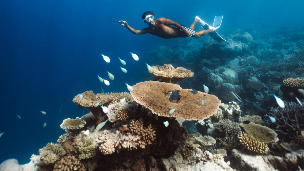 La barriera corallina dell'Ayada Maldives