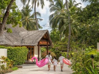 Family walks along a tropical resort path toward a thatched-roof building, each carrying large pink inflatable flamingos among palm trees and lush greenery.