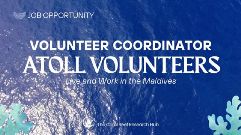 Travel Roots / Volunteer World Coral Restoration