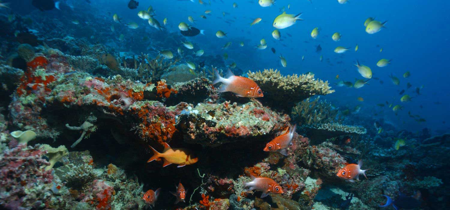 Biosphere Expeditions